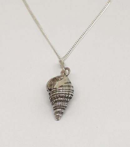 Sterling Silver Sea Shell Charm on Chain - Goldfish Jewellery Design Studio