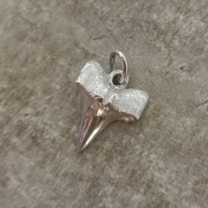 sterling silver shark tooth charm - goldfish jewellery design studio