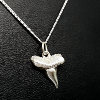 sterling silver shark tooth charm on chain - goldfish jewellery design studio
