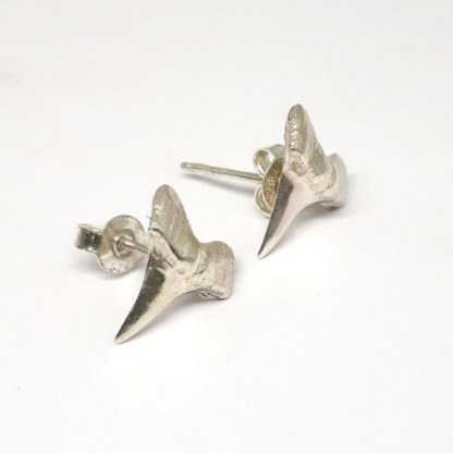 sterling silver shark tooth earrings (studs) - goldfish jewellery design studio