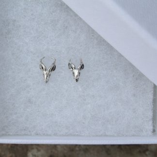 Springbuck studs springbok